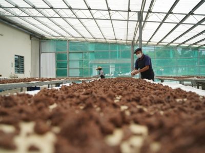 SSL Belacan: A Penang family business that spans three generations